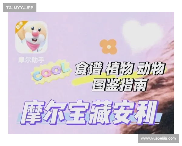 摩尔庄园毛毛豆快速寻找攻略与技巧分享