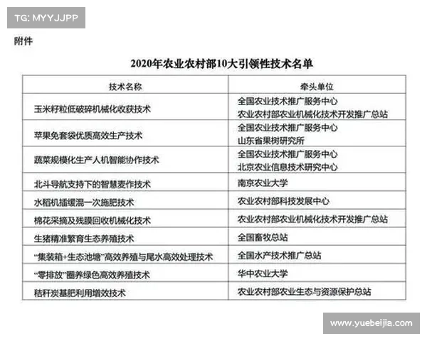 高原地区社会工作服务新模式探索与实践：五种创新路径解析