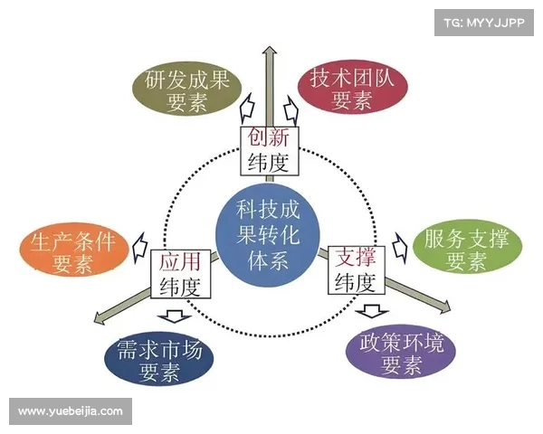 基于DK宏技术应用研究的优化路径与实现机制探索