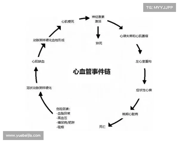 日常生活中那些容易被忽视却可能导致致命后果的安全防范清单
